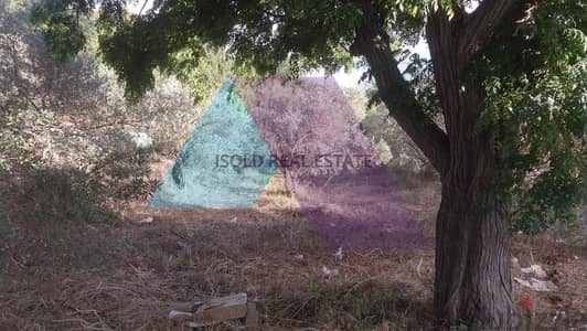 1092 m2 land for sale in Batroun / Hamet -أرض للبيع في البترون/حامت