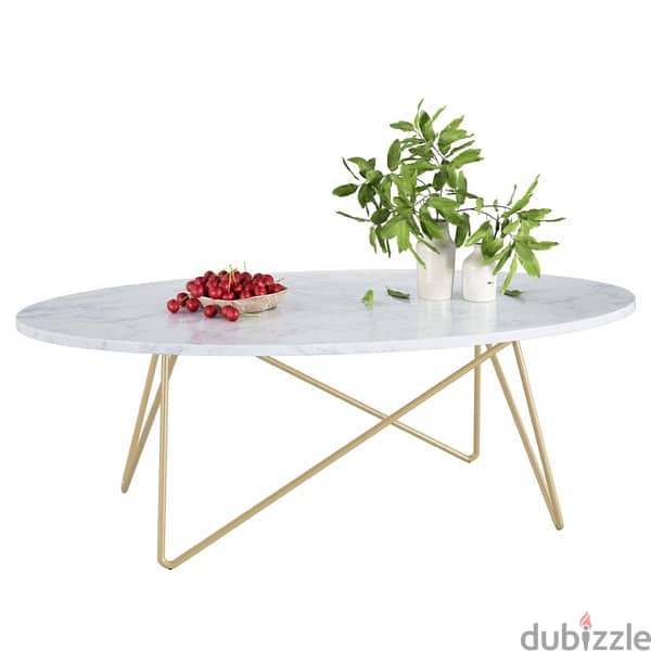 marble coffee table 1