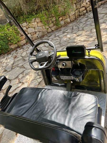 New golf cart for sale 4