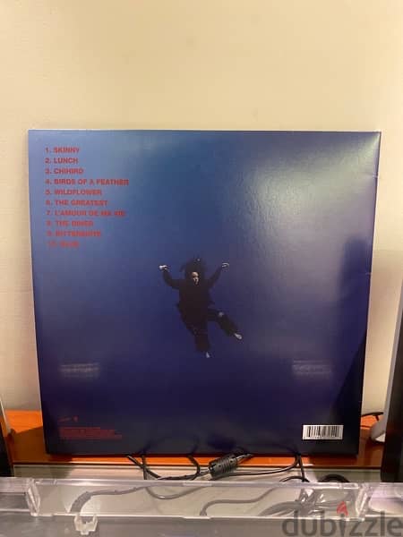 Hit me Hard and Soft Vinyl (blue variant) 2