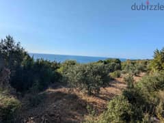 Land For Sale In Monsef | Open Sea View | أرض للبيع | PLS 26129 0