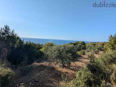 Land For Sale In Monsef | Open Sea View | أرض للبيع | PLS 26129