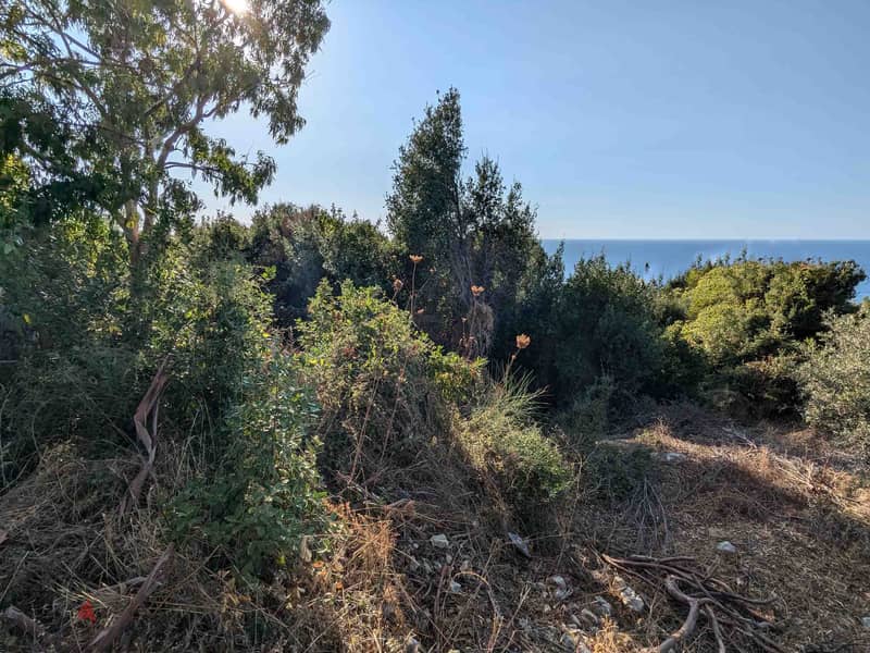 Land For Sale In Monsef | Open Sea View | أرض للبيع | PLS 26129 1