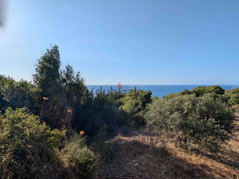 Land For Sale In Monsef | Open Sea View | أرض للبيع | PLS 26129 2