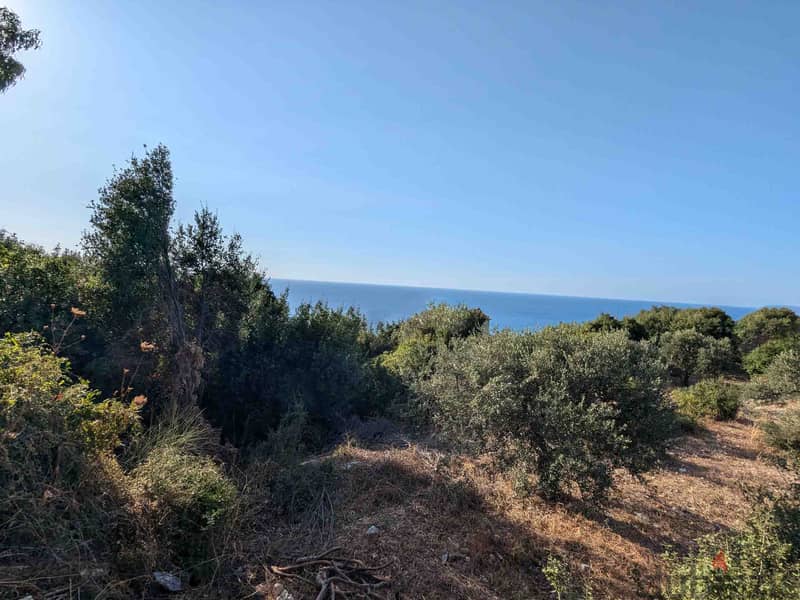 Land For Sale In Monsef | Open Sea View | أرض للبيع | PLS 26129 3