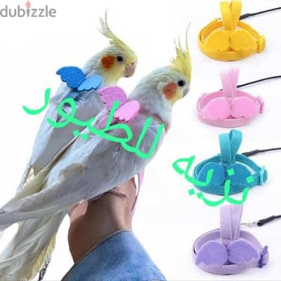 birds harness leash for birds نزيه للطيور