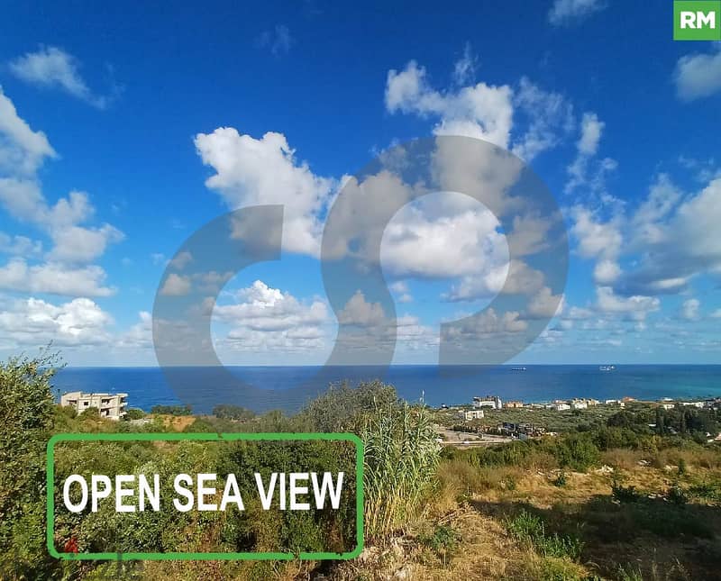 LAND, SALE, 180$/SQM, BATROUN/البترون REF#RM113102 0