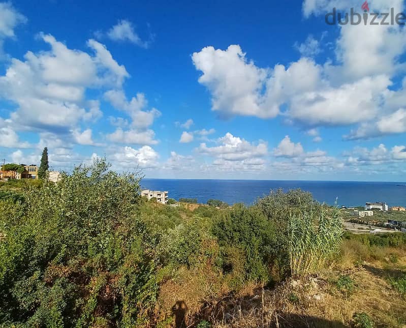 LAND, SALE, 180$/SQM, BATROUN/البترون REF#RM113102 1