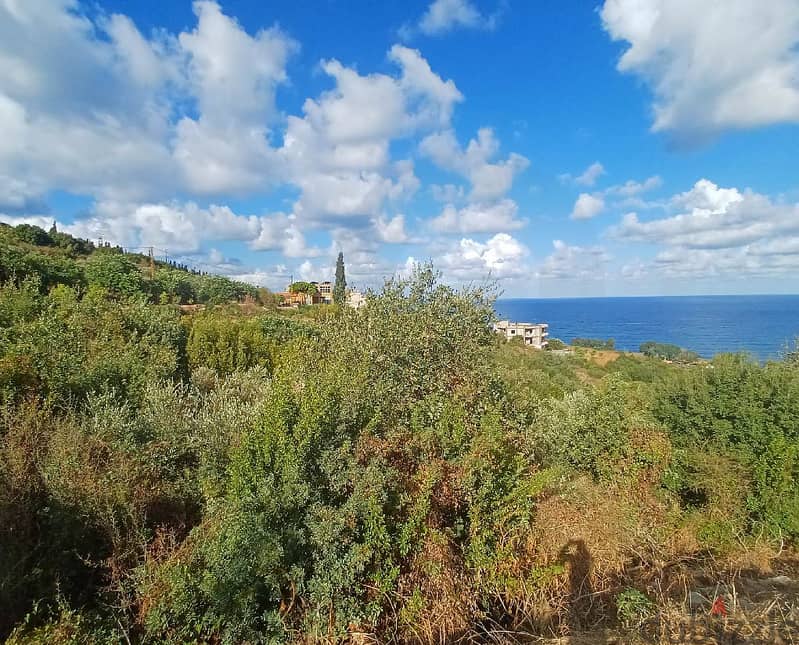 LAND, SALE, 180$/SQM, BATROUN/البترون REF#RM113102 2