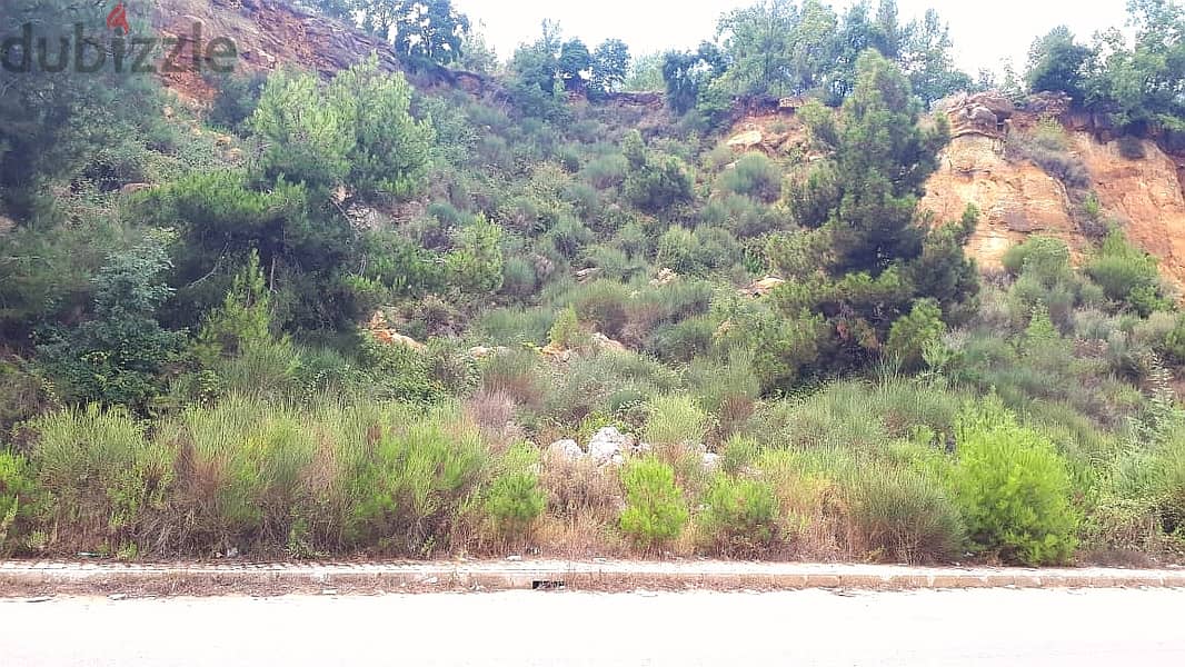 Land For Sale In Ain El Delbe Jbeil أرض للبيع في عين الدلبة CPJJA52 1