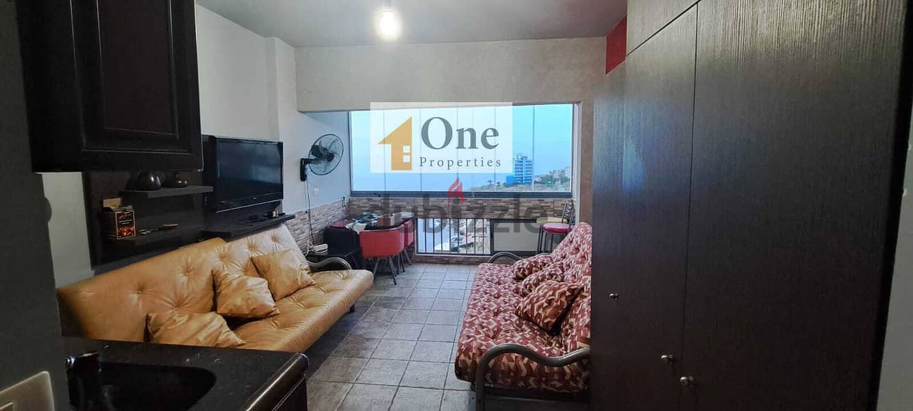 FURNISHED STUDIO FOR RENT IN AMCHIT(OPEN SEA VIEW) 3