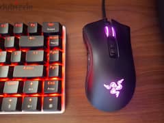 Razer mouse