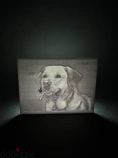 Professional 3D Printing Service + Lithophane Picture of your choice 0