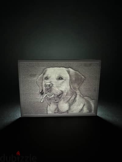 Professional 3D Printing Service + Lithophane Picture of your choice