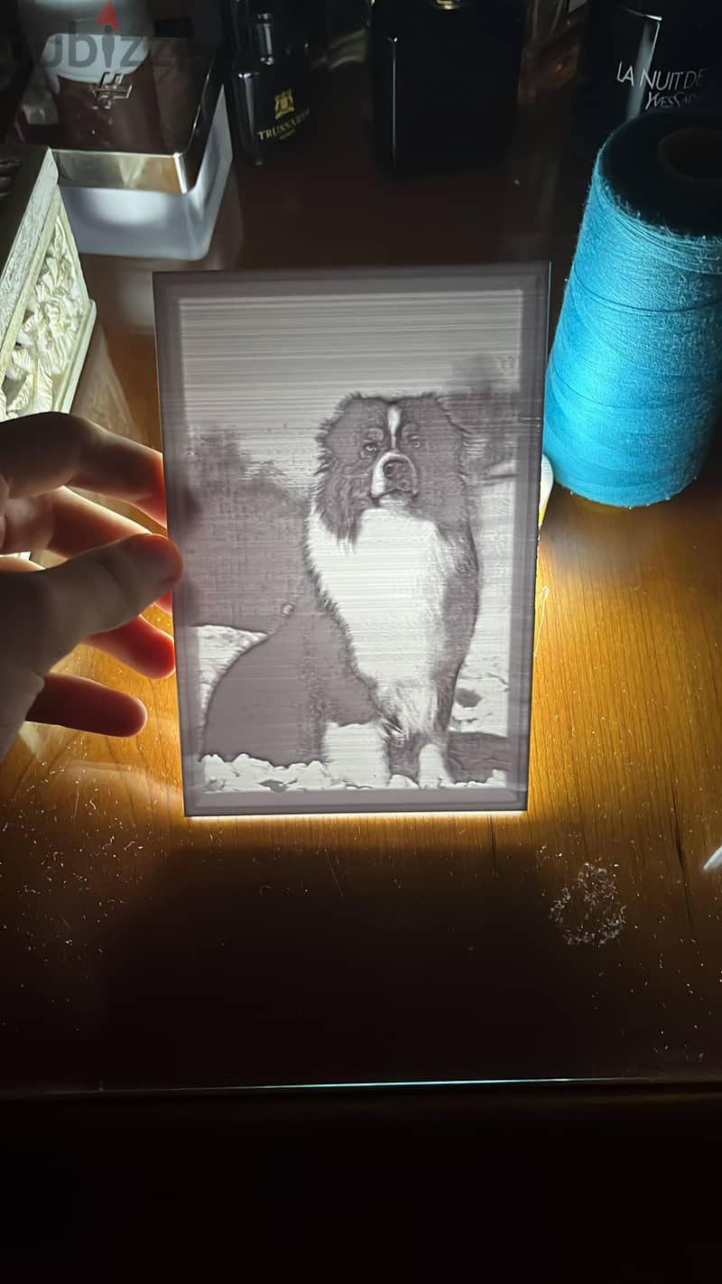 Professional 3D Printing Service + Lithophane Picture of your choice 7