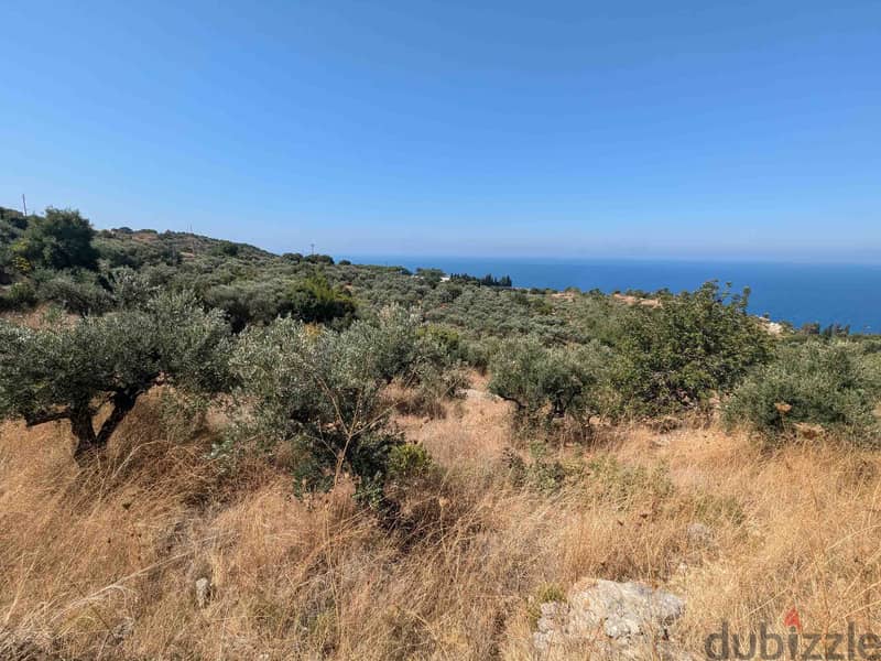 Land For Sale In Kfarkeddeh | Open Sea View | أرض للبيع | PLS 26134 2