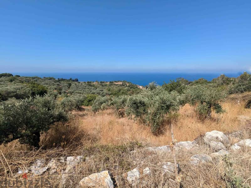 Land For Sale In Kfarkeddeh | Open Sea View | أرض للبيع | PLS 26134 5