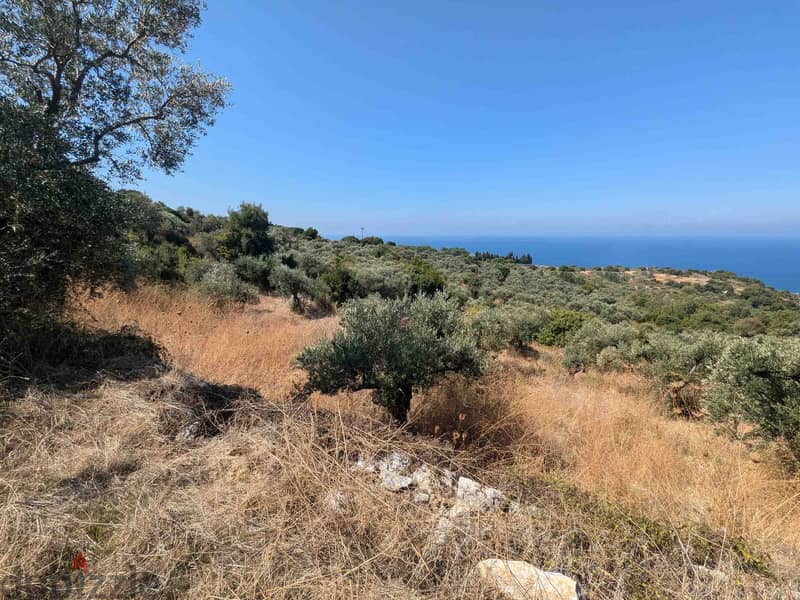 Land For Sale In Kfarkeddeh | Open Sea View | أرض للبيع | PLS 26134 6