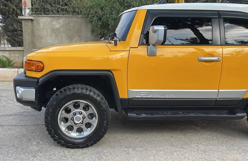 Toyota FJ Cruiser 2010 6