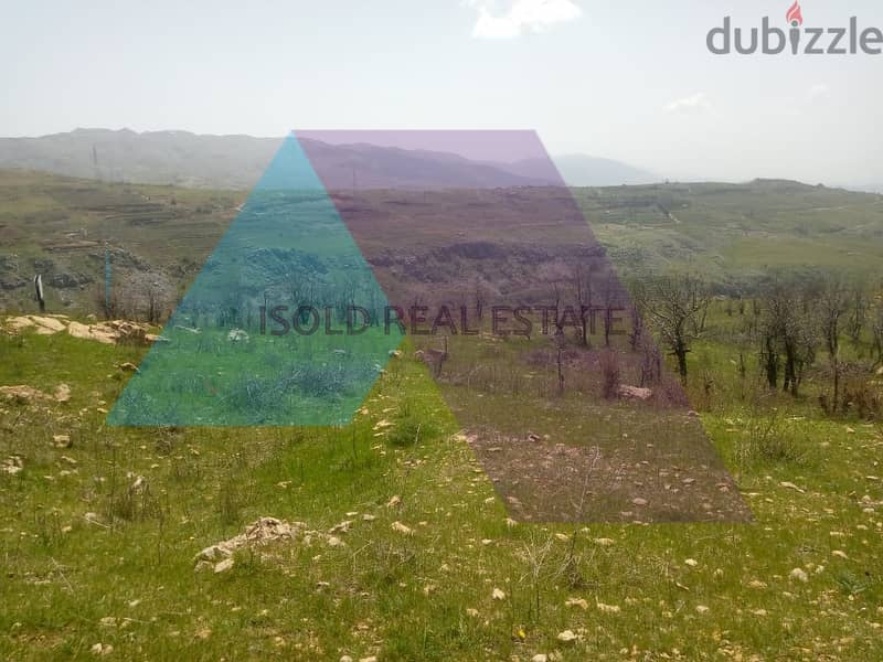 A 12,000 m2 land for sale in Daher El Baydar - ارض للبيع في ضهر البيدر 1