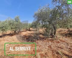 LAND, 40/60, KOURA, RAS MASKA/راس مسقا  REF#NK113183 0