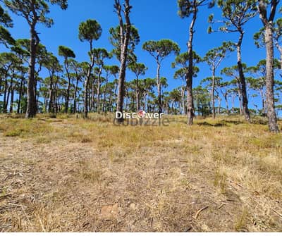 Land for Sale in Prestigious Bois de Boulogne ( Bolonia)