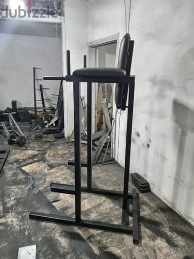 Dips and leg raises only for 150 dollar 03027072 GEO SPORT EQUIPMENT