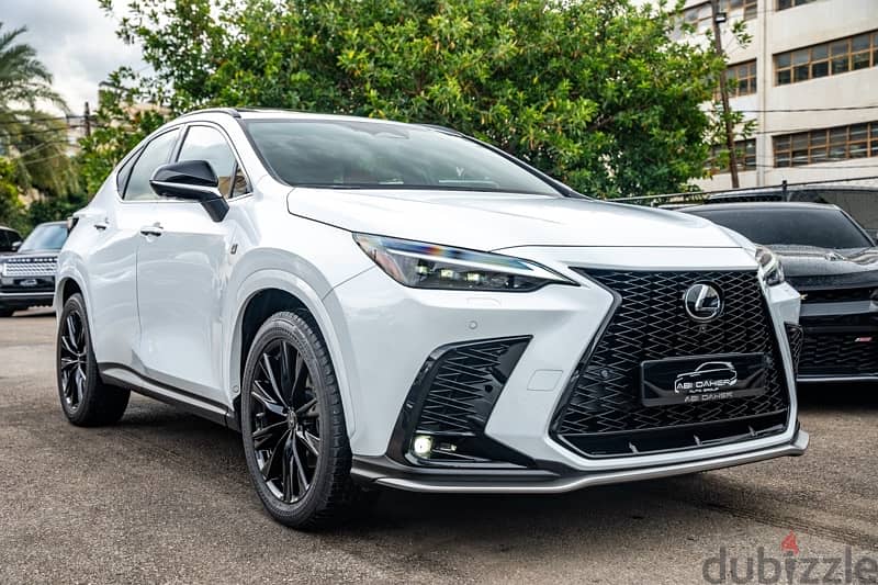 Lexus NX-Series 2022 1