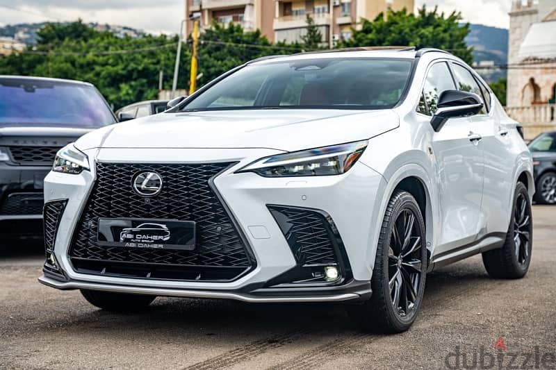 Lexus NX-Series 2022 2