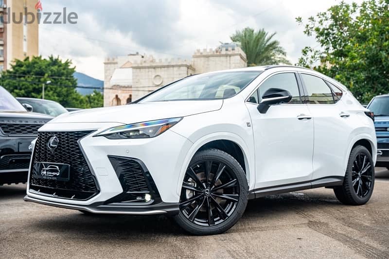 Lexus NX-Series 2022 13