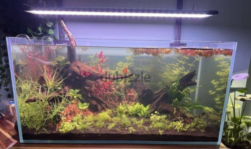 custome size aquarium great prices 1