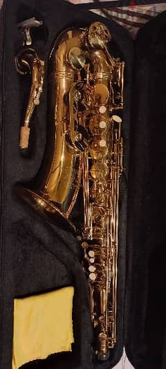 alto saxophone 0