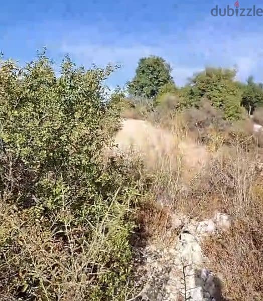 3320m2 Land in Aalali,Batroun عقار للبيع في العلالي البترون 1