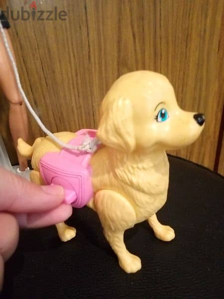 "Barbie SPLISH PUP" as new doll Mattel 2017 flex legs +Dog, both=28$ 3