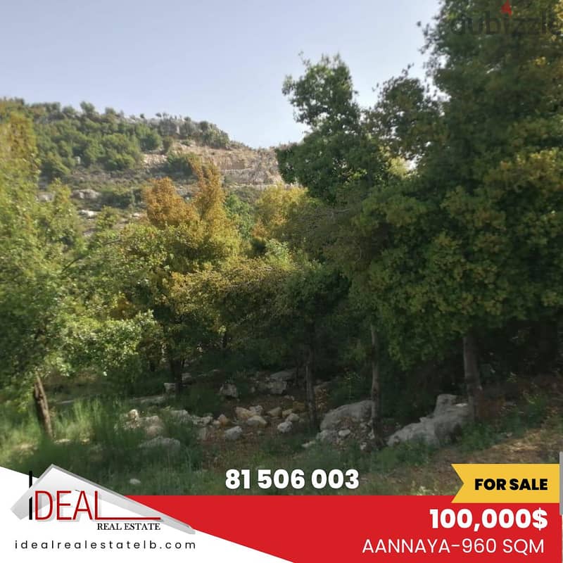 Land for sale in Jbeil Aanaya 960 SQM REF#CD10042 0