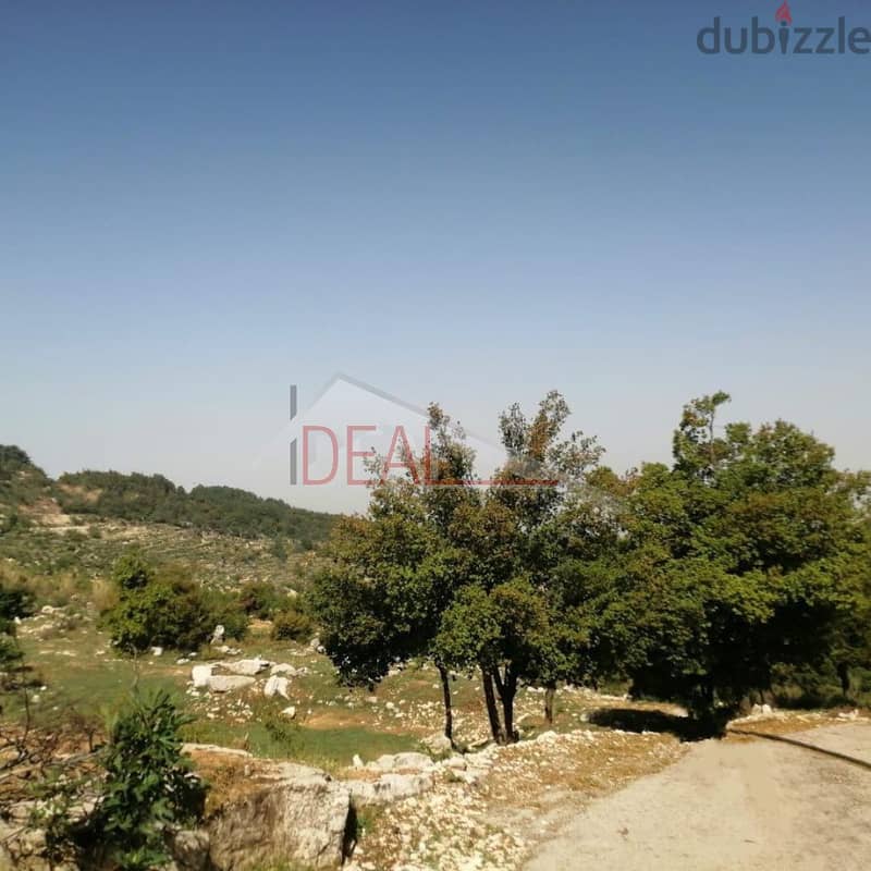 Land for sale in Jbeil Aanaya عقار للبيع في عنايا جبيل 1