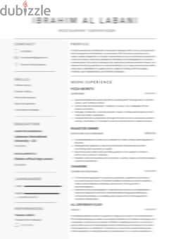 PROFESSIONAL CV 5$