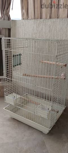 Amazing Bird Cage 0