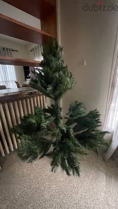 Christmas Tree 0