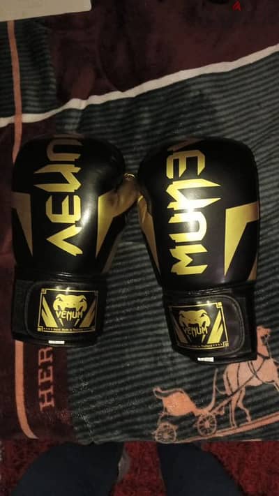 venum boxing gloves