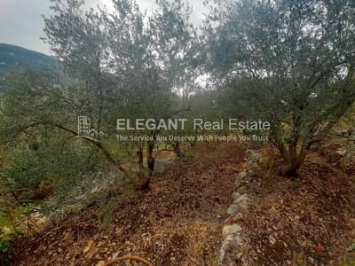 Wonderful Land for Sale | Spring Water | Adonis - Jbeil