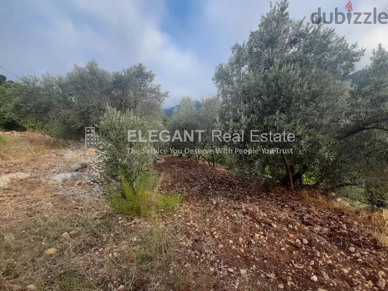 Wonderful Land for Sale | Spring Water | Adonis - Jbeil 1