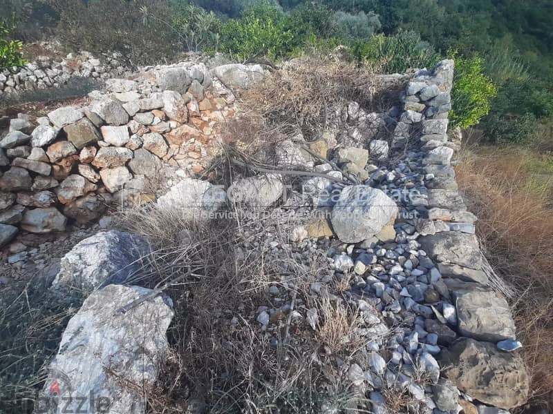 Wonderful Land for Sale | Spring Water | Adonis - Jbeil 2