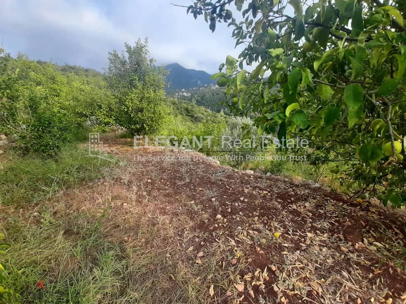 Wonderful Land for Sale | Spring Water | Adonis - Jbeil 4