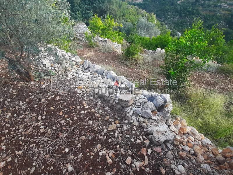 Wonderful Land for Sale | Spring Water | Adonis - Jbeil 5