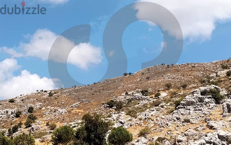 أرض رائعة في باروك الشوف/ Chouf- Barouk REF#ID113363 1