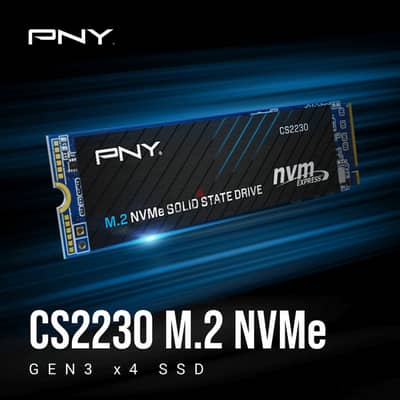 PNY NVME SSD 500GB