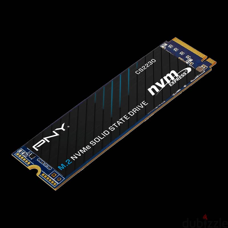 PNY NVME SSD 500GB 3