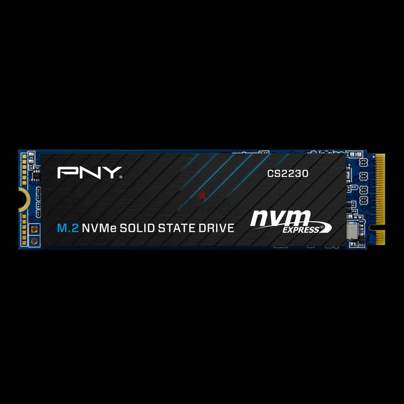 PNY NVME SSD 500GB 6