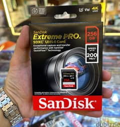 Sandisk